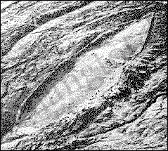 Bí ẩn Đại Hồng Thủy vàcon tàu của Noah - Tin180.com (Ảnh 1)
